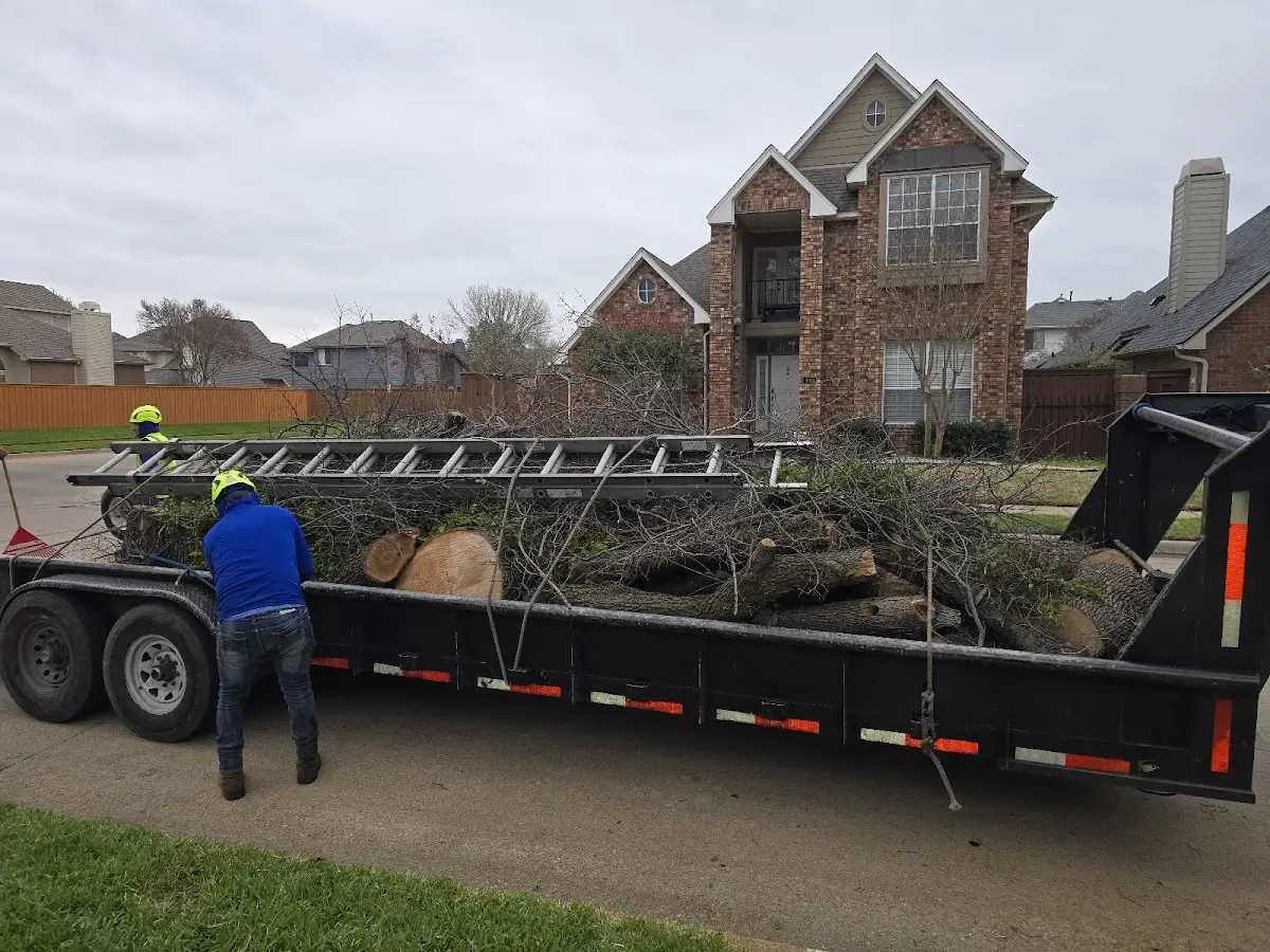 Expert Lot Clearing with proper safety equipment in Fullerton